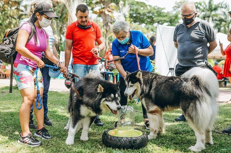 Parque canino, beneficioso para mascotas
