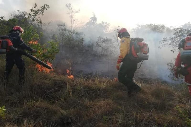 ¿Cuántas hectáreas destruyó el incendio en la sierra de La Macarena?