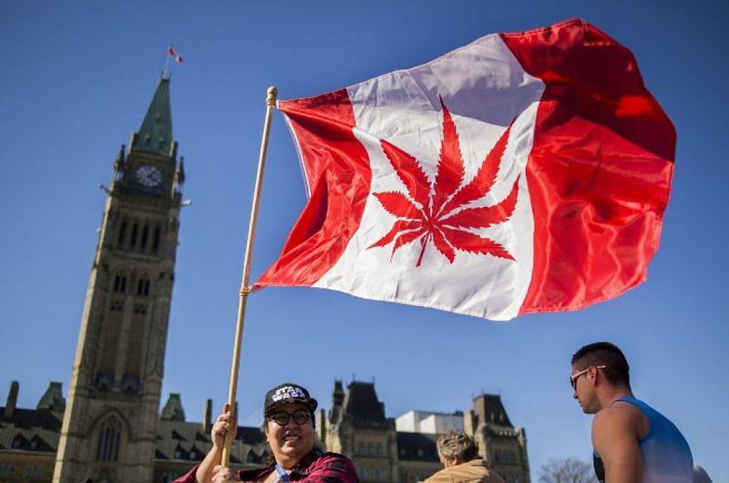 Legalizan uso recreativo de la marihuana en Canadá 