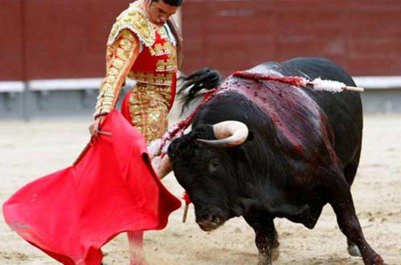 Vuelven las corridas de toros a todo el país por la Corte Constitucional