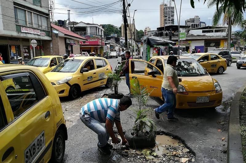 Taxistas que persistan en sembrar árboles en huecos serán sancionados