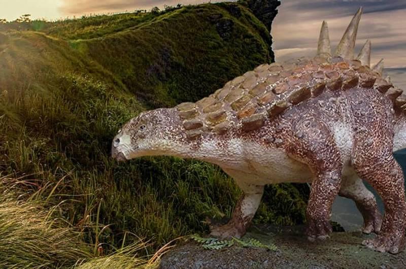 ¡Encuentran un dinosaurio acorazado nunca antes registrado por la ciencia!