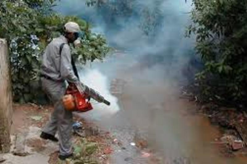 La fumigación no acaba con los zancudo del dengue: Expertos