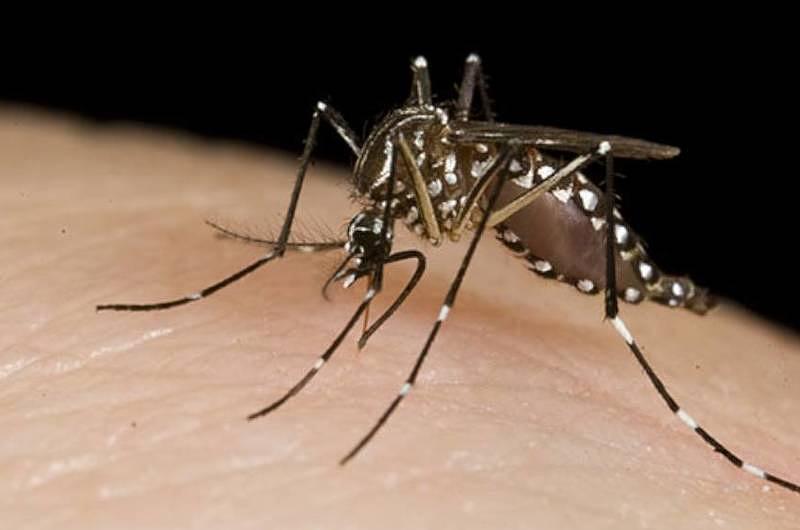 Se confirma muerte de menor por Dengue en Villavicencio