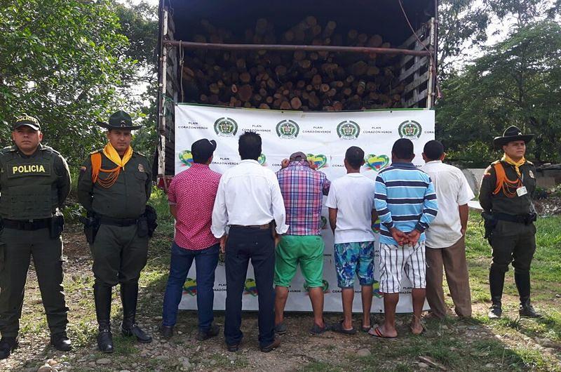 Capturados seis hombres por tala ilegal de árboles en Puerto Lleras, Meta
