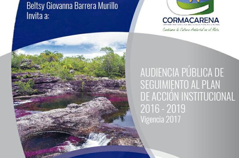 Cormacarena realizará Audiencia Pública de Rendición de Cuentas 2017