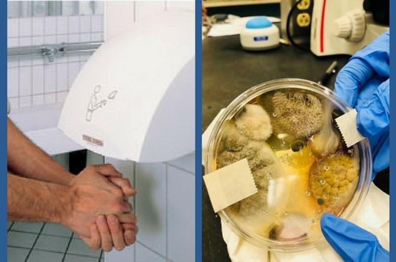 "Los secadores de manos de los baños son un nido de bacterias fecales"