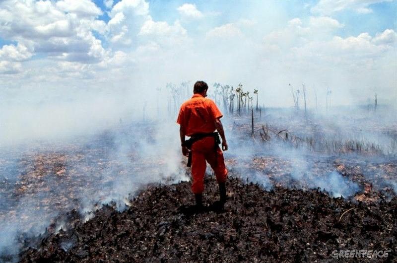  Resumen de fuegos Diarios en la Amazonia colombiana