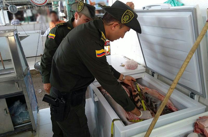 Policía lidera controles en la venta del pescado en el Meta
