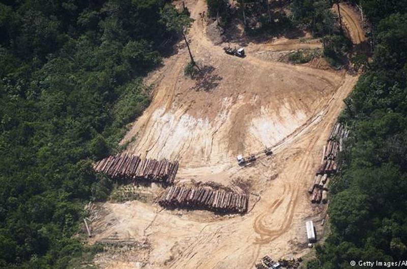 Aterciopelados y Bomba Estéreo luchan para proteger La Amazonía