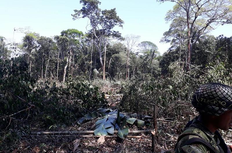 Se imputa a cinco personas por deforestación en zona de reserva indígena