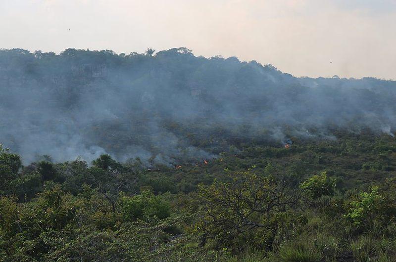 Ministerio de Ambiente despliega acciones para mitigar incendio en Guaviare