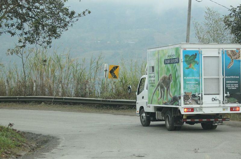 Bogotá libera 46 animales rescatados de traficantes de fauna silvestre