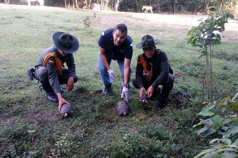Cormacarena libera especies rescatadas en Villavicencio y Puerto López