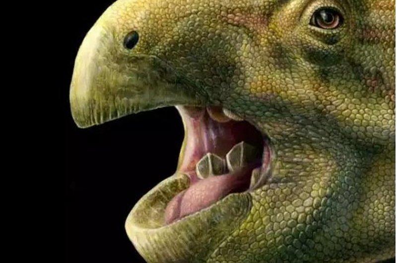 Dinosaurio con “dientes de tijeras” descubierto por científicos