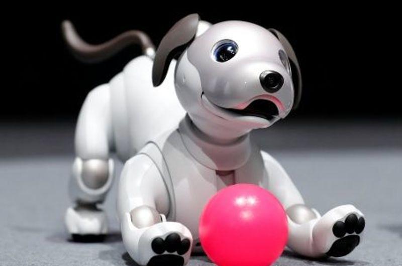 Sony enseña la nueva versión de Aibo, el perro robot