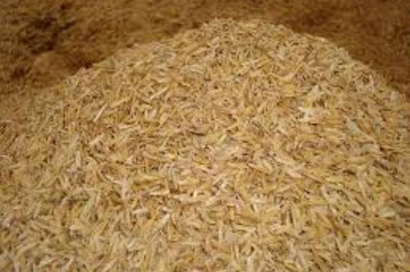 Investigadores trabajan en la obtención de carbón activado y nanopartículas a base de cascarilla de arroz