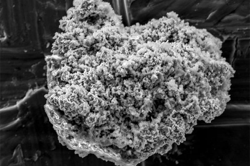 Por primera vez es encontrado polvo de un cometa en la Tierra