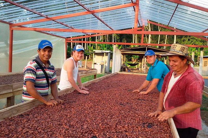 El Cacao colombiano busca mayor proyección