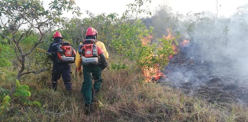 Alerta nacional por amenaza de incendios forestales
